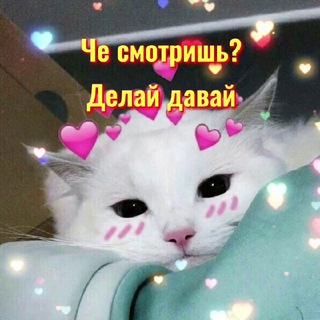 СДЕЛАЙ ЭТО: