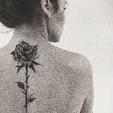 BLACK ROSE