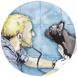 ЗАПИСКИ ВЕТВРАЧА