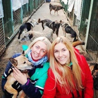 ПРИЮТ НЕКРАСОВКА 10 СЕКТОР