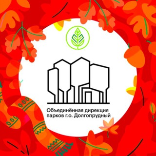 ОБЪЕДИНЁННАЯ ДИРЕКЦИЯ ПАРКОВ Г.О. ДОЛГОПРУДНЫЙ