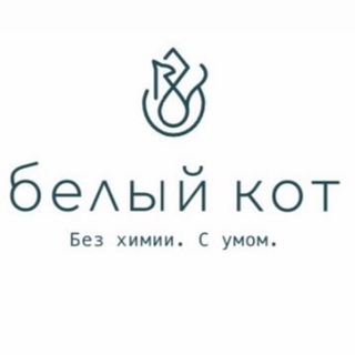 БЕЛЫЙ КОТ