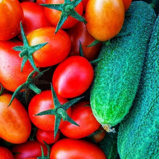 ЗОЖ - ОБРАЗ ЖИЗНИ! ALENA.ECO.KOT