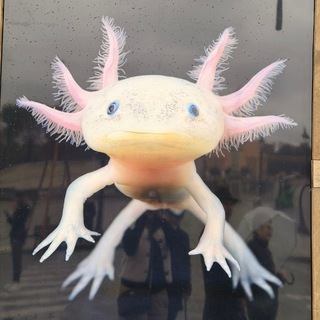 MINDSPIN — НЕЙРОСЕТЬ