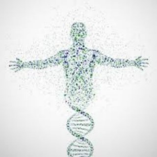 НАШЕ ЗДОРОВЬЕ | БЛОГ АЛЕКСЕЕВА