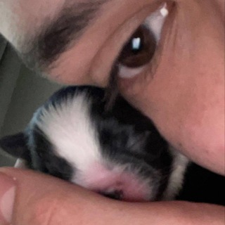 ЛИЧНЫЙ ДНЕВНИК СЕНДОМА