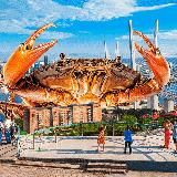 ВЛАДИВОСТОК | ДАЛЬНИЙ ВОСТОК | НОВОСТИ