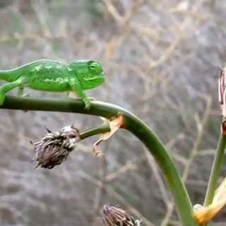 ВСЕ О СЕМЕЙНОМ ОБУЧЕНИИ