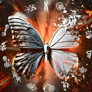 АЛЕКСАНДР ПАНЧИН