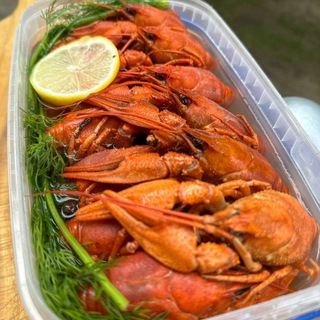 ДОСТАВКА РАКОВ