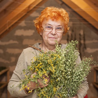 ЗДОРОВЬЕ │ ПОЛЬЗА ТРАВ