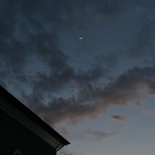 ПОКОРНОСТЬ