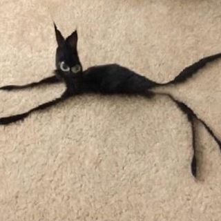 UNUSUAL POST
