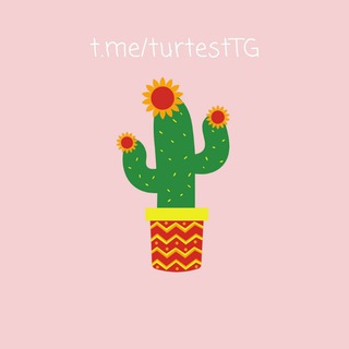 ТУРЕЦКИЙ ТЕСТ  TÜRKÇE