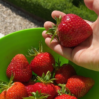 ДАЧА • ЛЕТО • САД - СО ВКУСОМ И ЛЮБОВЬЮ 