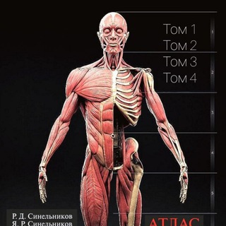 ЛИТЕРАТУРА PDF