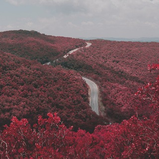ХОККУ - ХУЁККУ И КАПЕЛЬКА КЕНДО