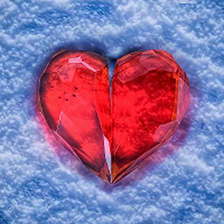 СПАСЕНИЕ БЕЗДОМНЫХ ЖИВОТНЫХ ЯКУТСК