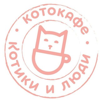 КОТОКАФЕ КОТИКИ И ЛЮДИ
