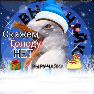 ВЫРУ-ЧАЙКА-ИНФО