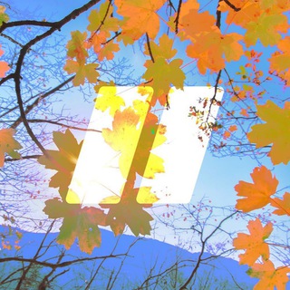 ISPMANAGER – САЙТЫ, ХОСТИНГ, МАРКЕТИНГ