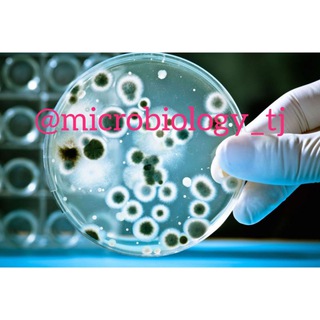 MICROBIOLOGY WORLD