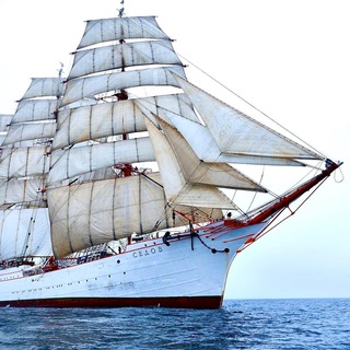 МОРСКИЕ ИСТОРИИ 