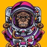 SPACE MONKEY