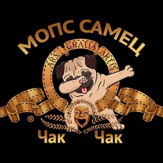 МОПС САМЕЦ ЧАК-ЧАК