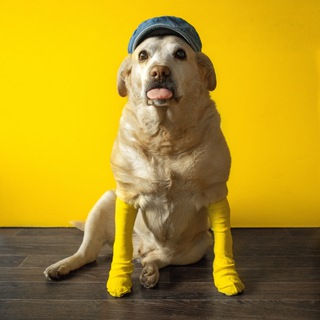 ЧАТ МЕГАПОЛИСА 2.0