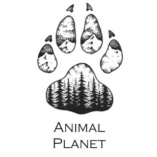 ANIMAL PLANET