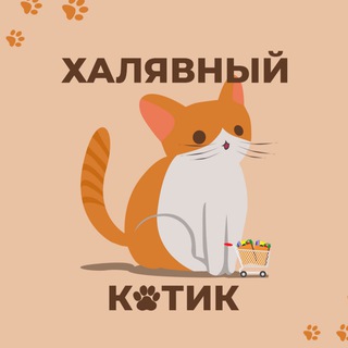 ХАЛЯВНЫЙ КОТИК