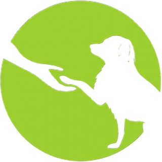 ДОМ ДЛЯ ХВОСТИКОВ РОСТОВА