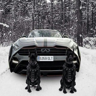 АВТОРЫНОК !!! ПРОБЛЕМНЫХ-АВТО-РФ ️️️