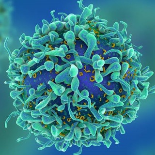 RUSSIAN BIOTECH CHANNEL