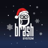 BRASH SYSTEM 