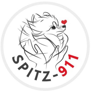 SPITZ_911