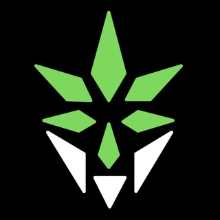 NEWS - CANABOYZ AIRCNB ECOSYSTEM