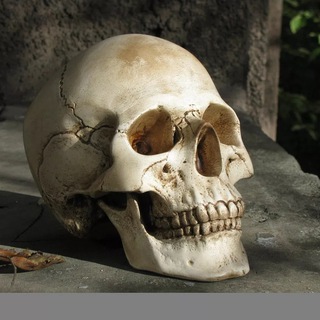 SKELETONS FROM OSETIA