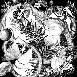 ПОЛЯРНАЯ ИВА