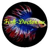 FISH DOCTOR