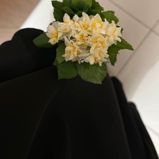 ЛОРАДЕ СА ДОГ.