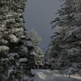 МНЕ ХОЧЕТСЯ