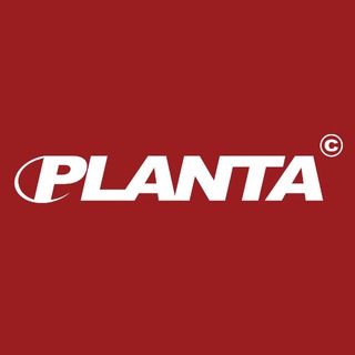 PLANTAROSA.JPG