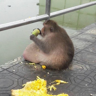 ТВОРОЖНАЯ ЛОЖЕЧКА