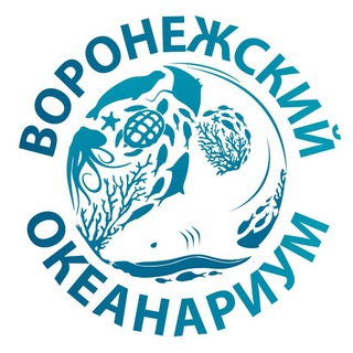 ВОРОНЕЖСКИЙ ОКЕАНАРИУМ