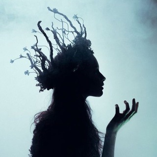 ЭСТЕТИКА МЫСЛЕЙ