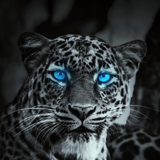 ОБОИ HD / WALLPAPERS HD