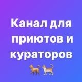 СОБАКУ ПРИСТРОЙ! КОТА ОТДАЙ! (КУРАТОРЫ ПС)