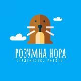 РОЗУМНА НОРА - КАНАЛ